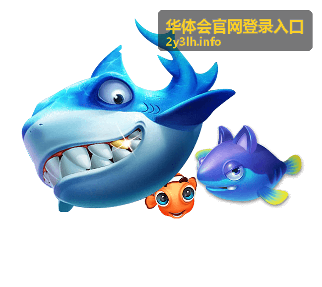 华体会官网登录入口支付与售后服务
